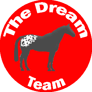 The Dream Team Appaloosas